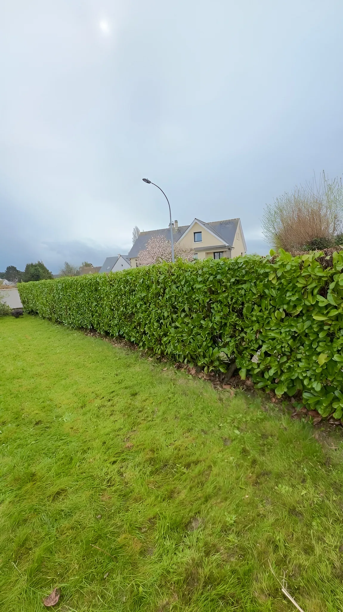 Taille de haies à Cherbourg - Après