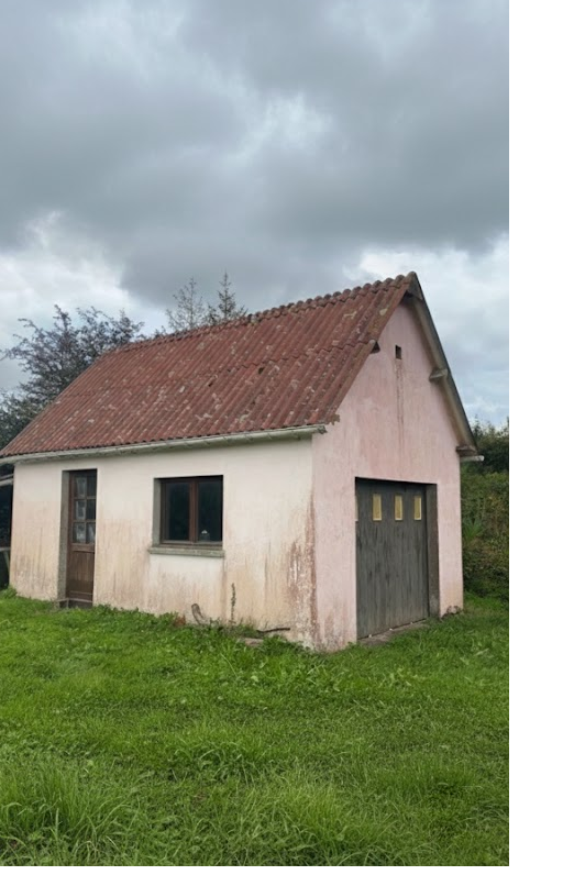 Nettoyage de façade - Avant